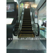 SANYO 35 Degree Escalator